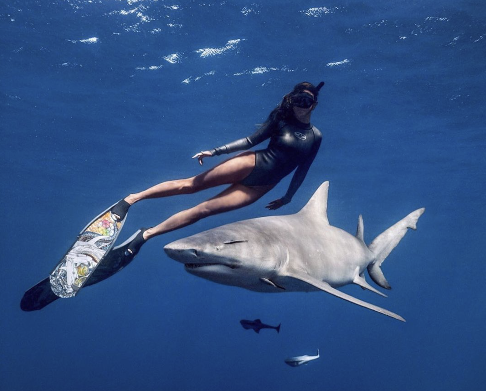 Steph Diving With Shark