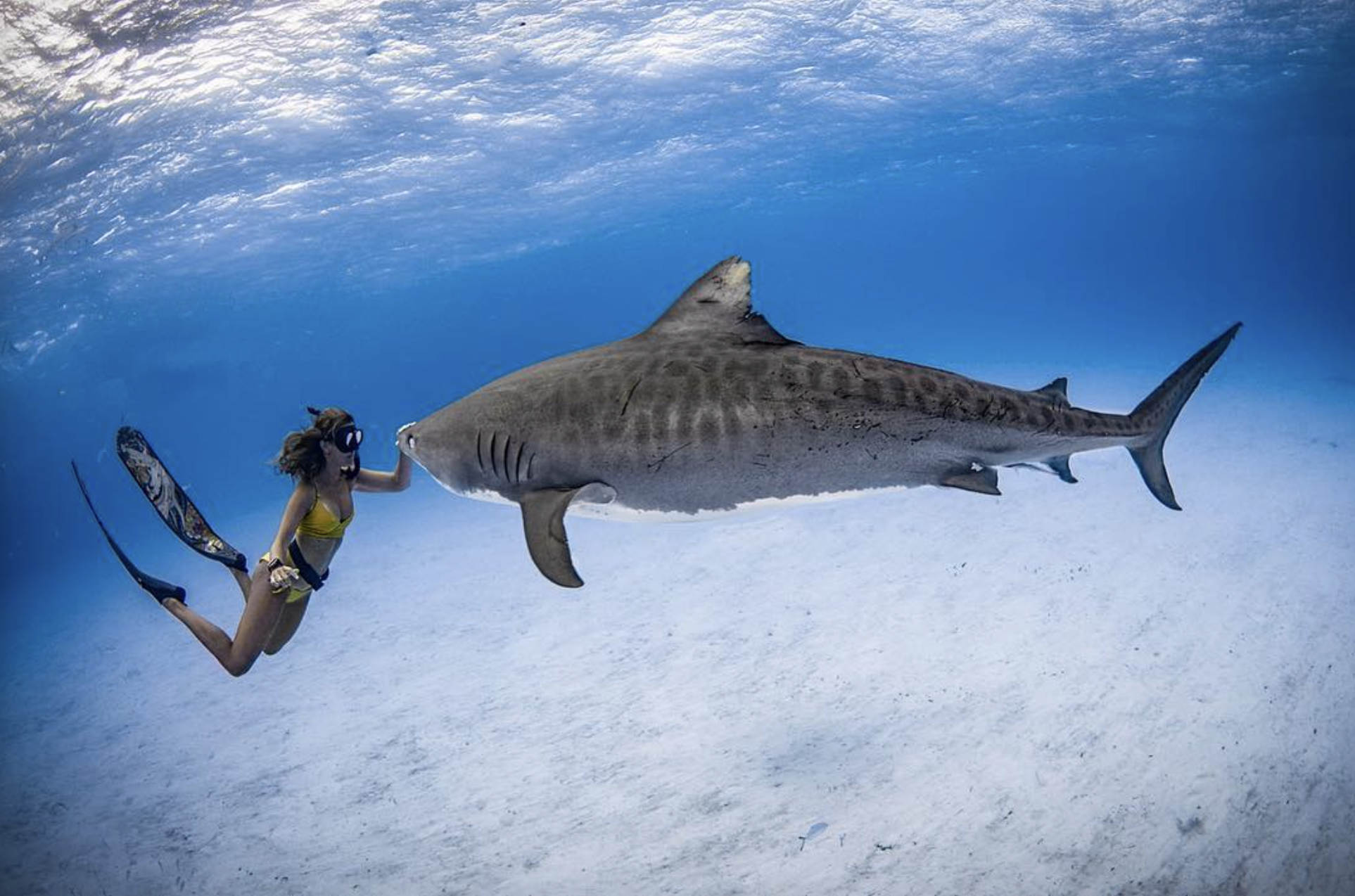 Steph Schuldt A Fearless Freediving