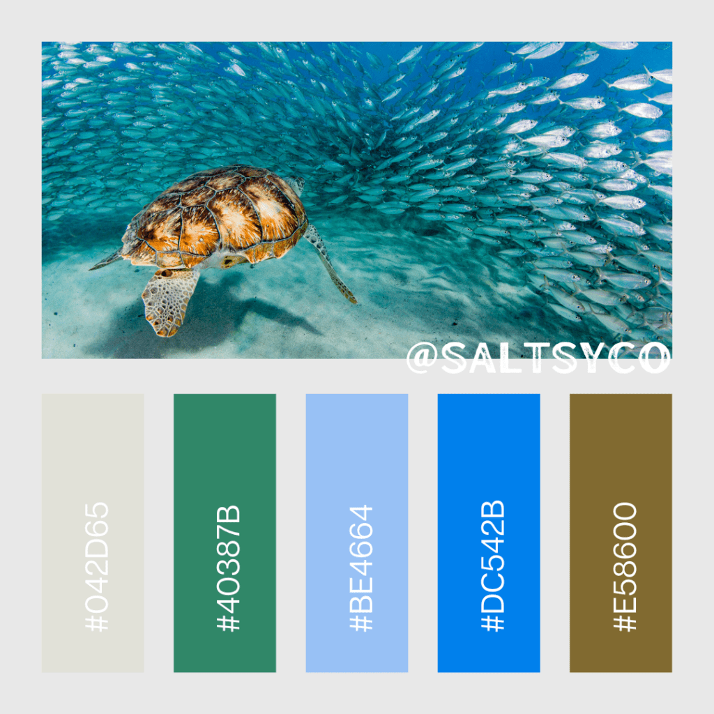 Saltsy sea turtle color palette