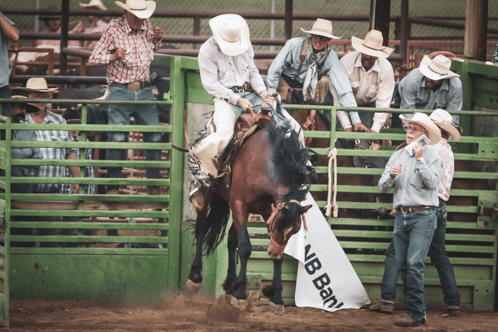 Dude ranches in wyoming: Bronc riding at Cody Rodeo by Shoshone Lodge and Guest Ranch