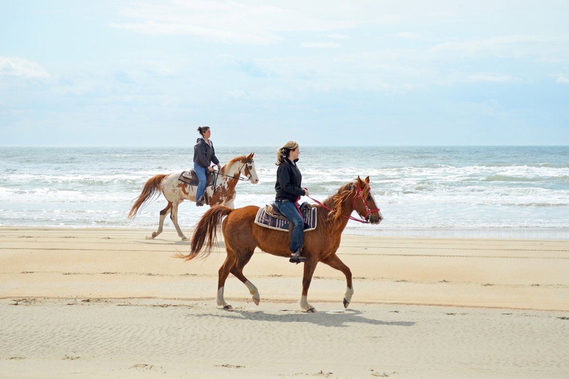 Horseback Riding Adventure