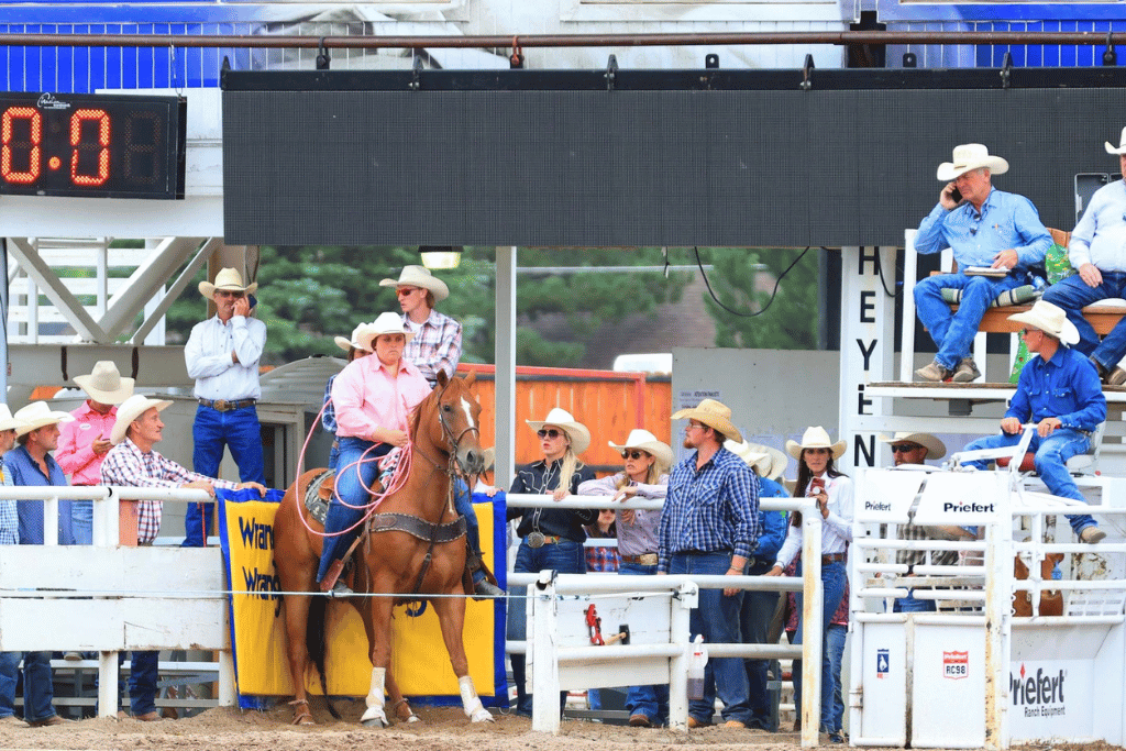 Professional rodeos at Cheyenne Frontier Days