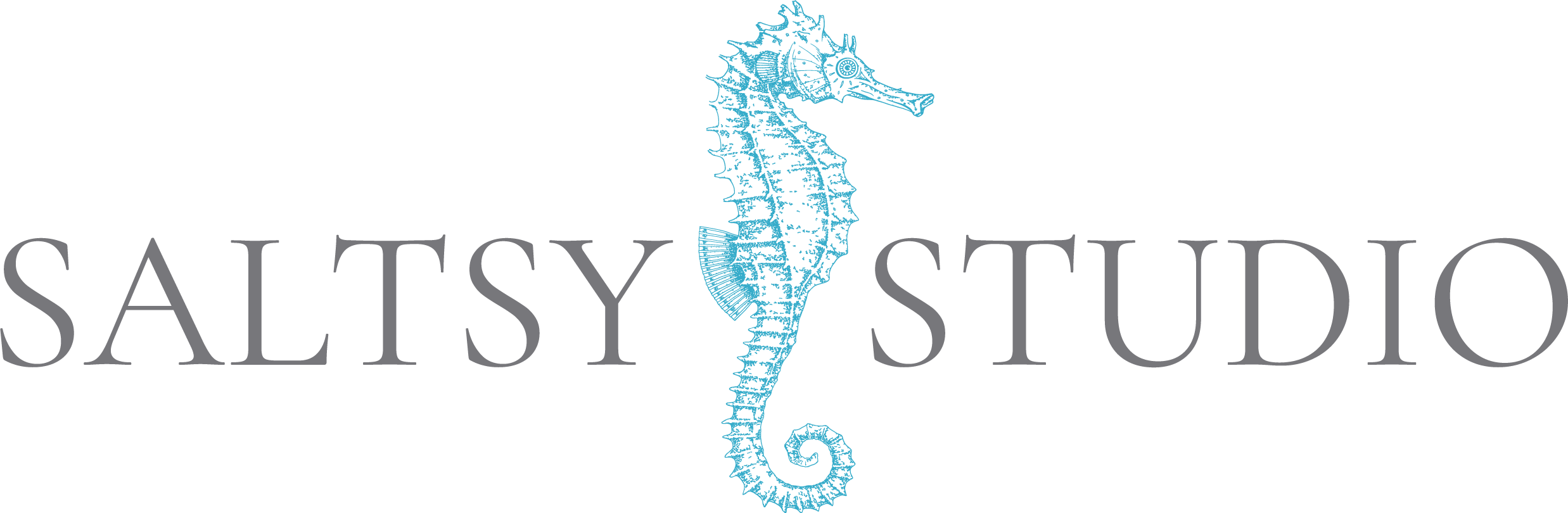 Saltsy Studio Logo