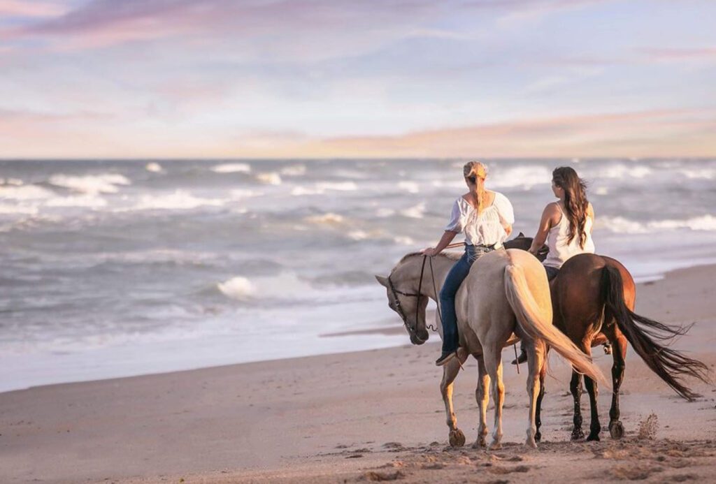 Bradenton Beach Horseback Riding