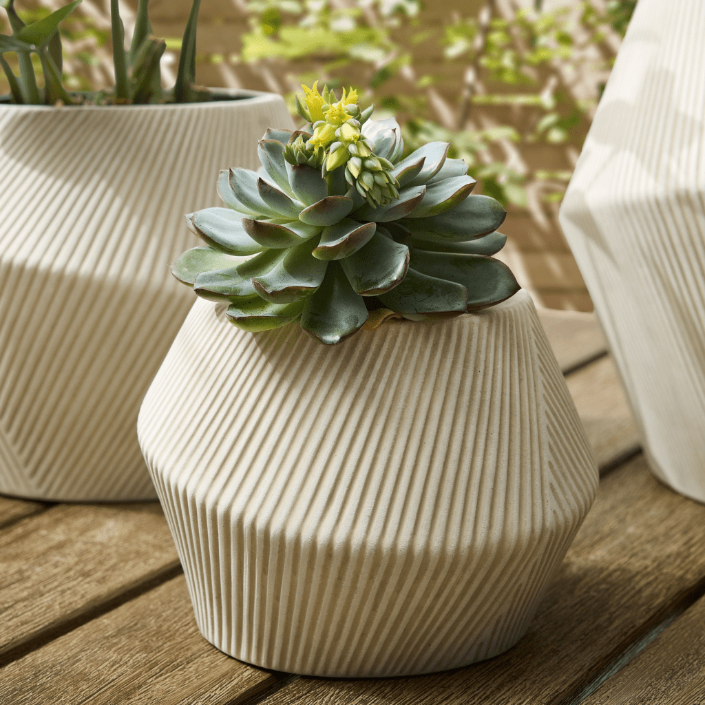 Cream angular planter vase with succulent